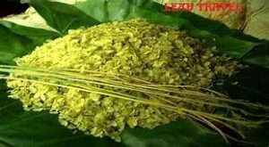 cốm