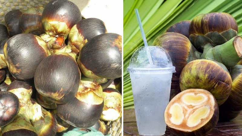 quả thốt nốt châu đốc