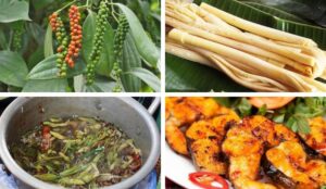 đặc sản Đắk Nông