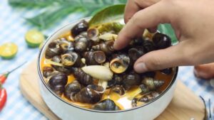ốc vặn nước cốt dừa